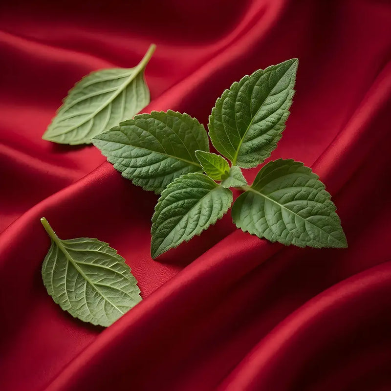 Fresh green mint leaves arranged on draped red satin fabric.