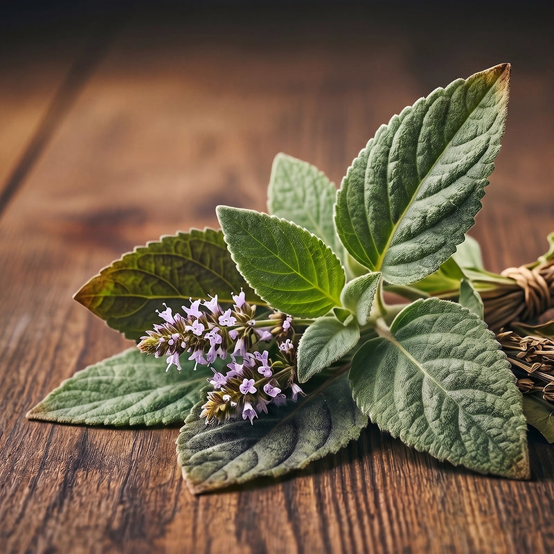 Fresh green herb leaves with small purple flowers arranged on a rustic wooden surface.